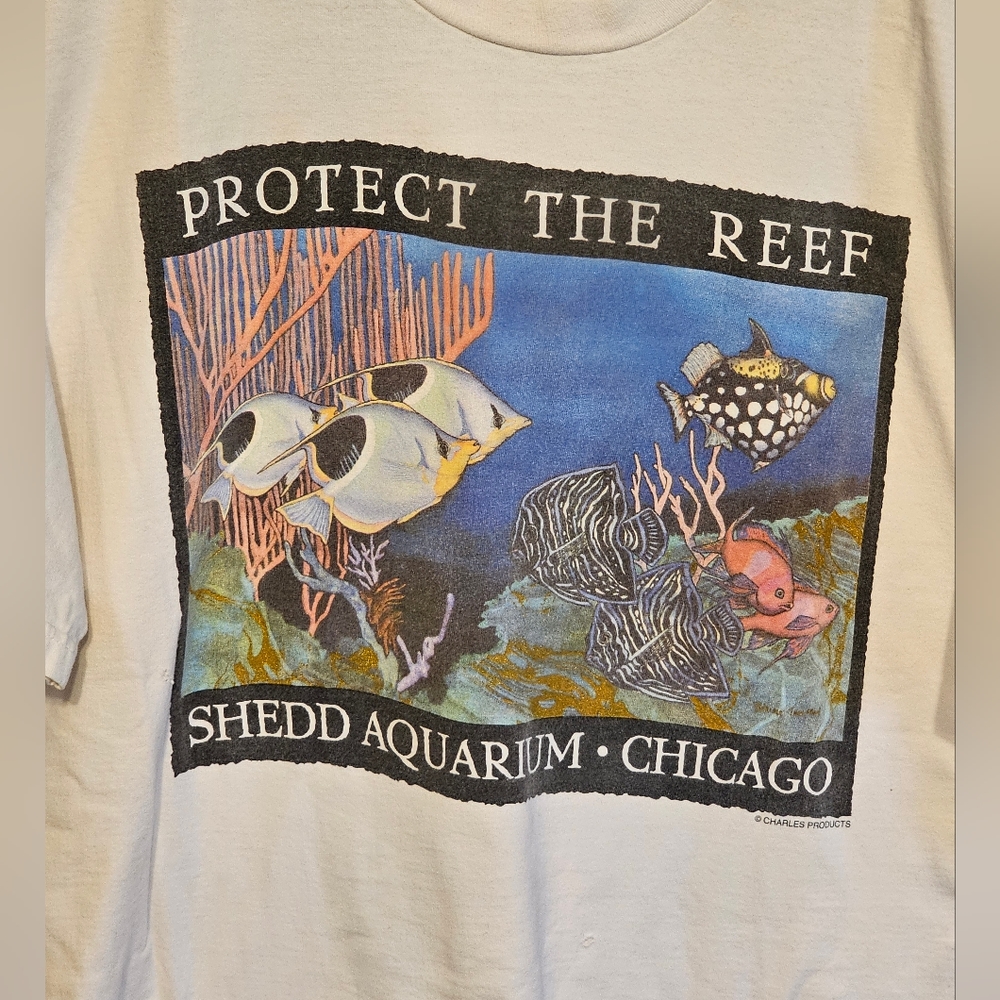 Great Barrier Reef T-Shirt - Gem, image size:1000x1000